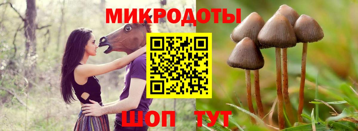 Галлюциногенные грибы мицелий  Вход с VPN  Черногорск 